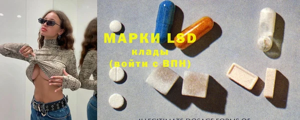 индика Покров